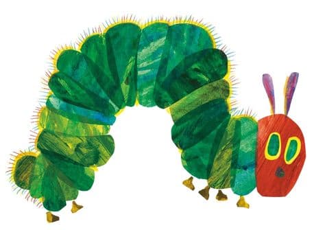 아주아주 배고픈 애벌레에 관한 모든 것 보드북의 표지 이미지