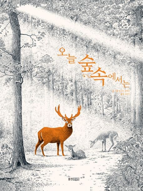 오늘 숲속에서는의 표지 이미지