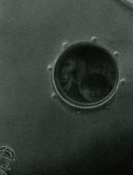 응시의 표지 이미지