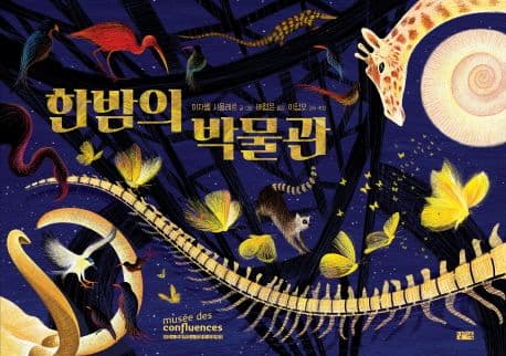 한밤의 박물관의 표지 이미지