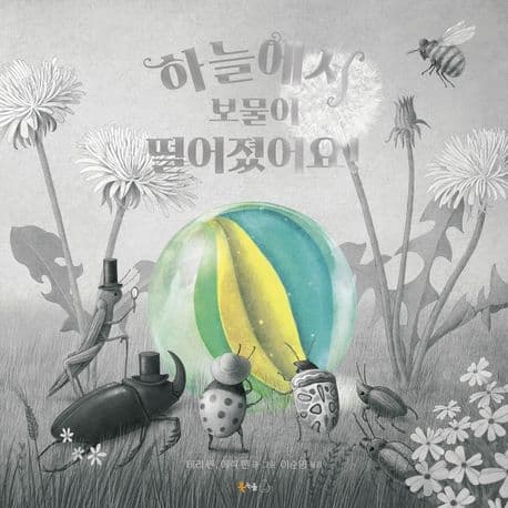 하늘에서 보물이 떨어졌어요!의 표지 이미지