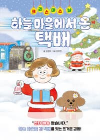 크리스마스 날, 하늘 마을에서 온 택배의 표지 이미지