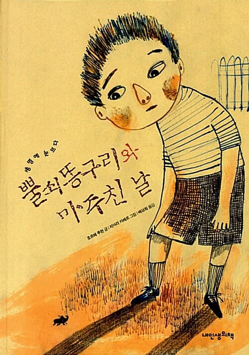 뿔쇠똥구리와 마주친 날