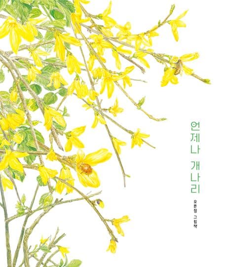 언제나 개나리의 표지 이미지