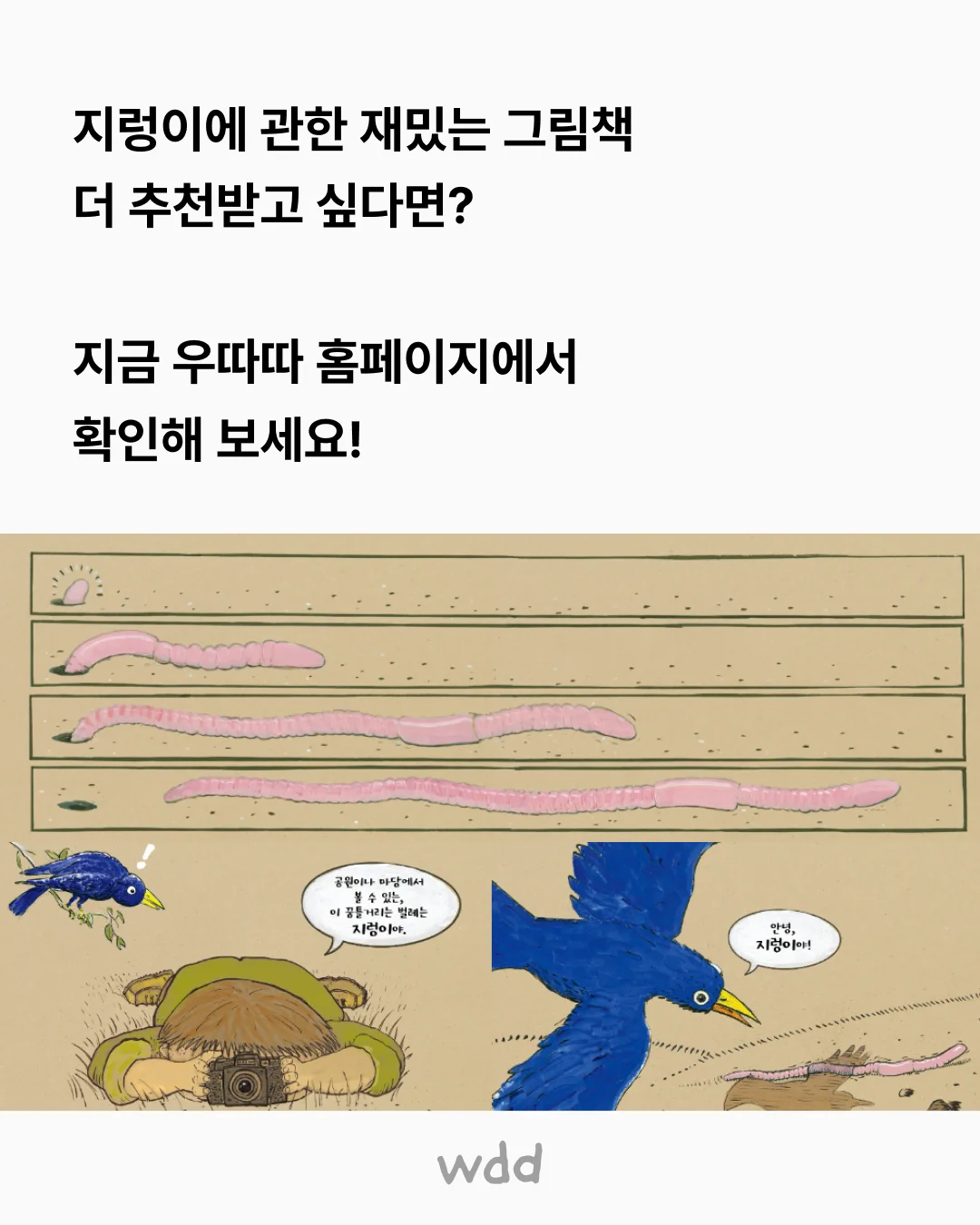 title 9