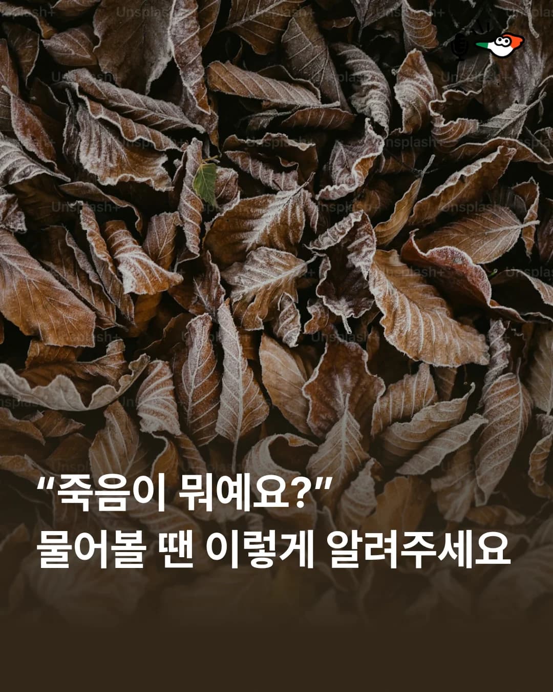"죽음이 뭐예요?" 물어볼 땐 이렇게 알려주세요의 표지 이미지