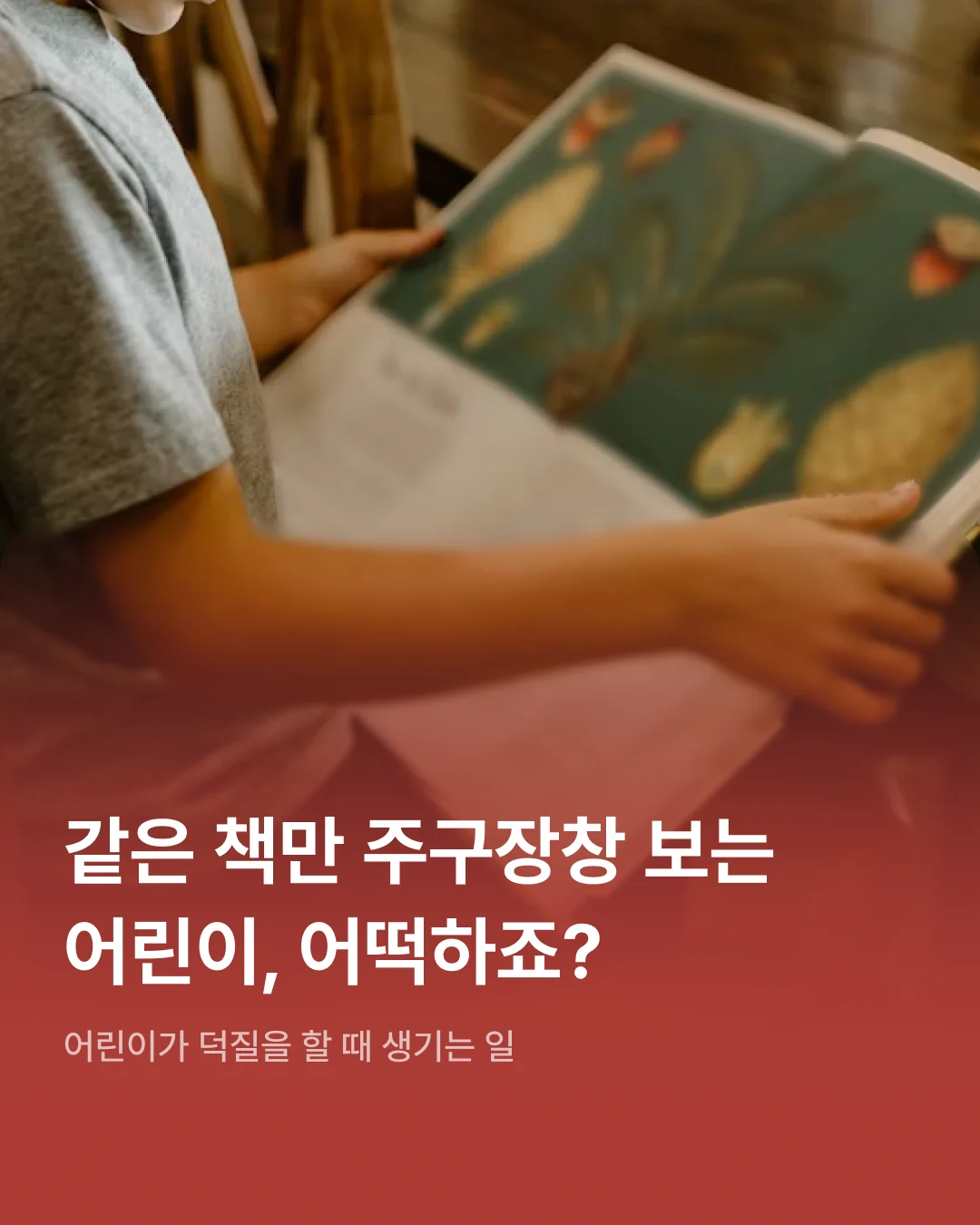 같은 책만 주구장창 보는 어린이, 어떡하죠?