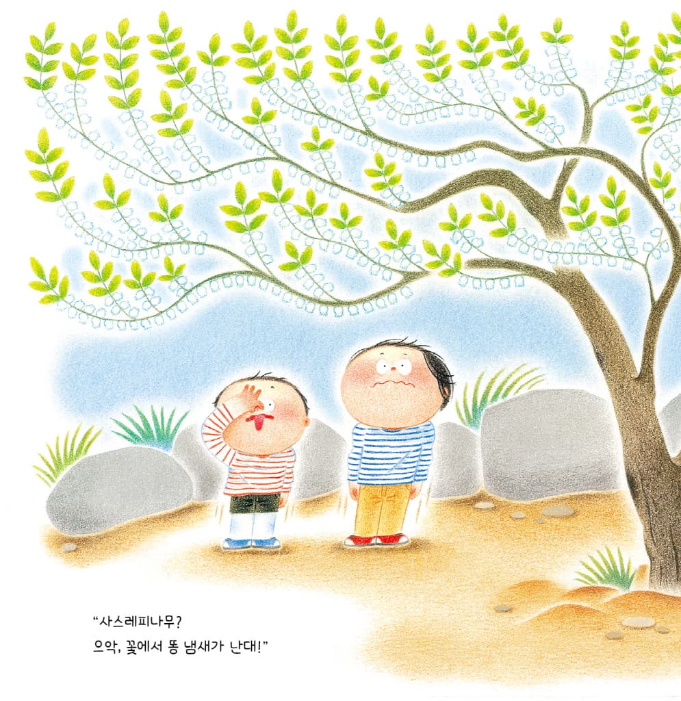 춤바람