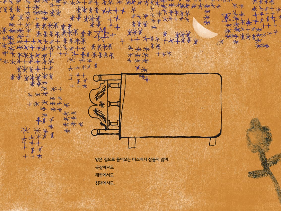 양은 꽃을 세지