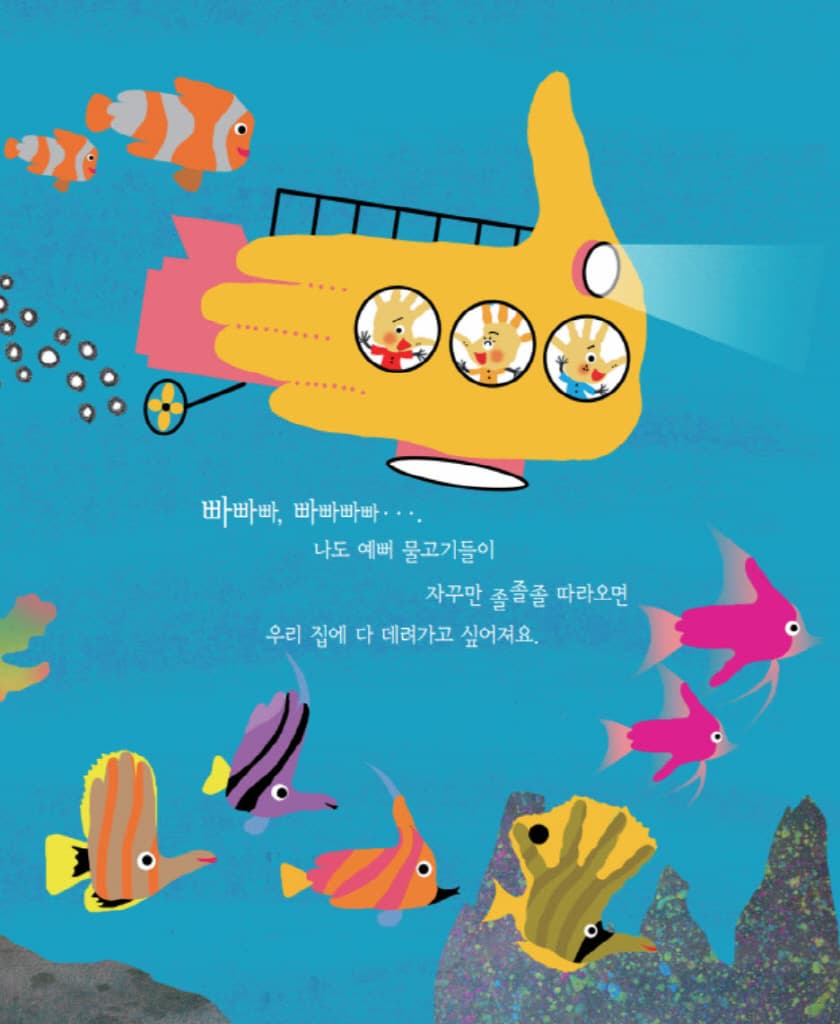 손바닥 상어