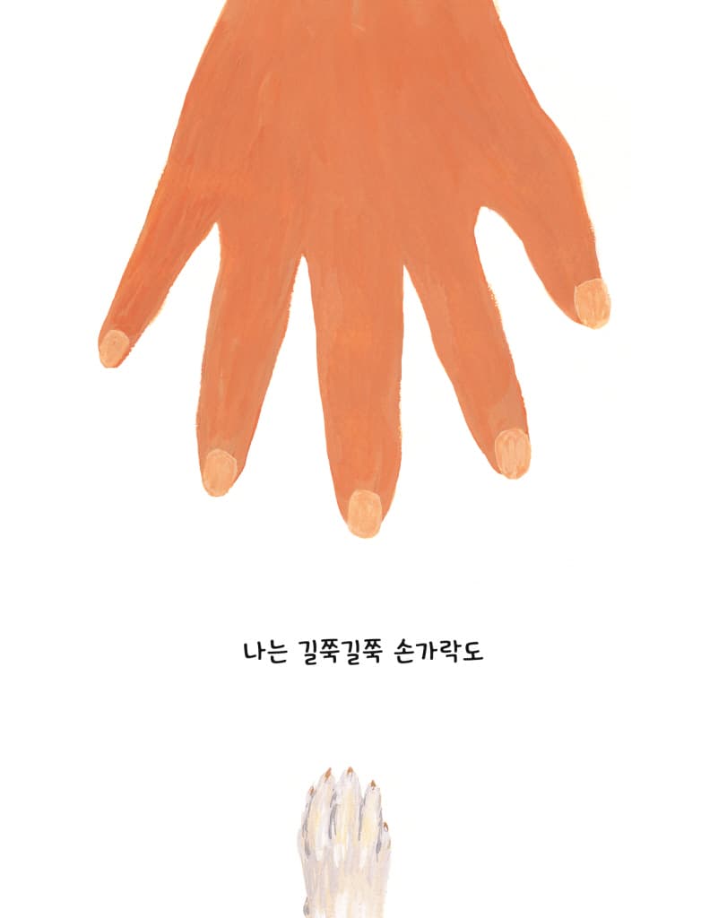 꼬리의 비밀
