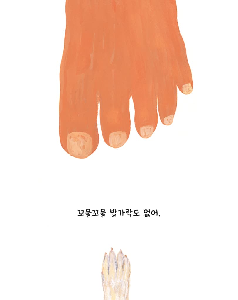 꼬리의 비밀