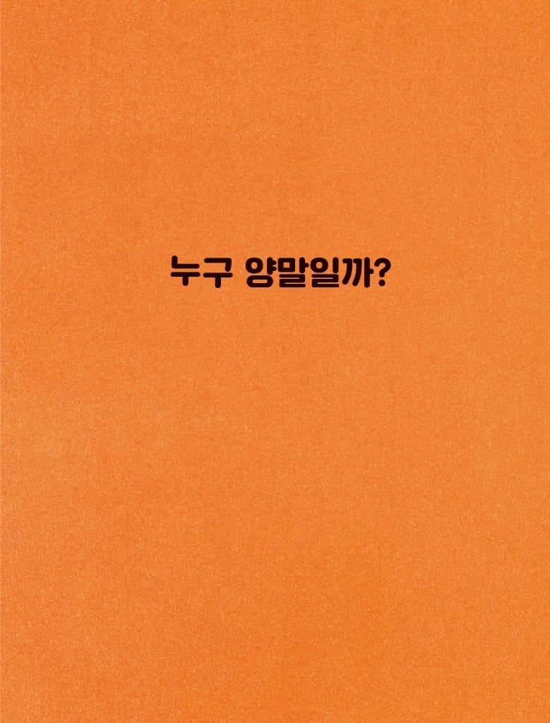 누구 양말일까?