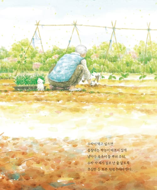 수박이 먹고 싶으면