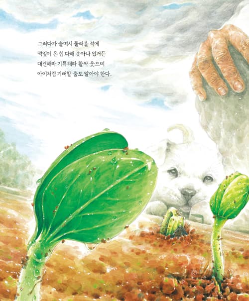 수박이 먹고 싶으면