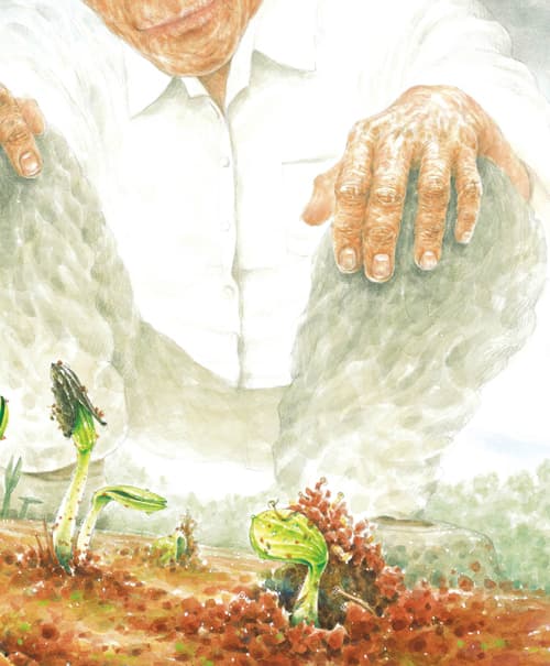 수박이 먹고 싶으면