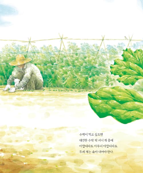수박이 먹고 싶으면