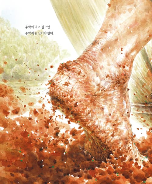 수박이 먹고 싶으면