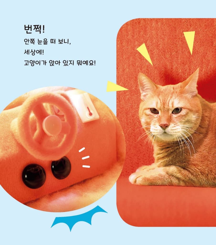 뿌이뿌이 모루카-고양이 구출 대작전