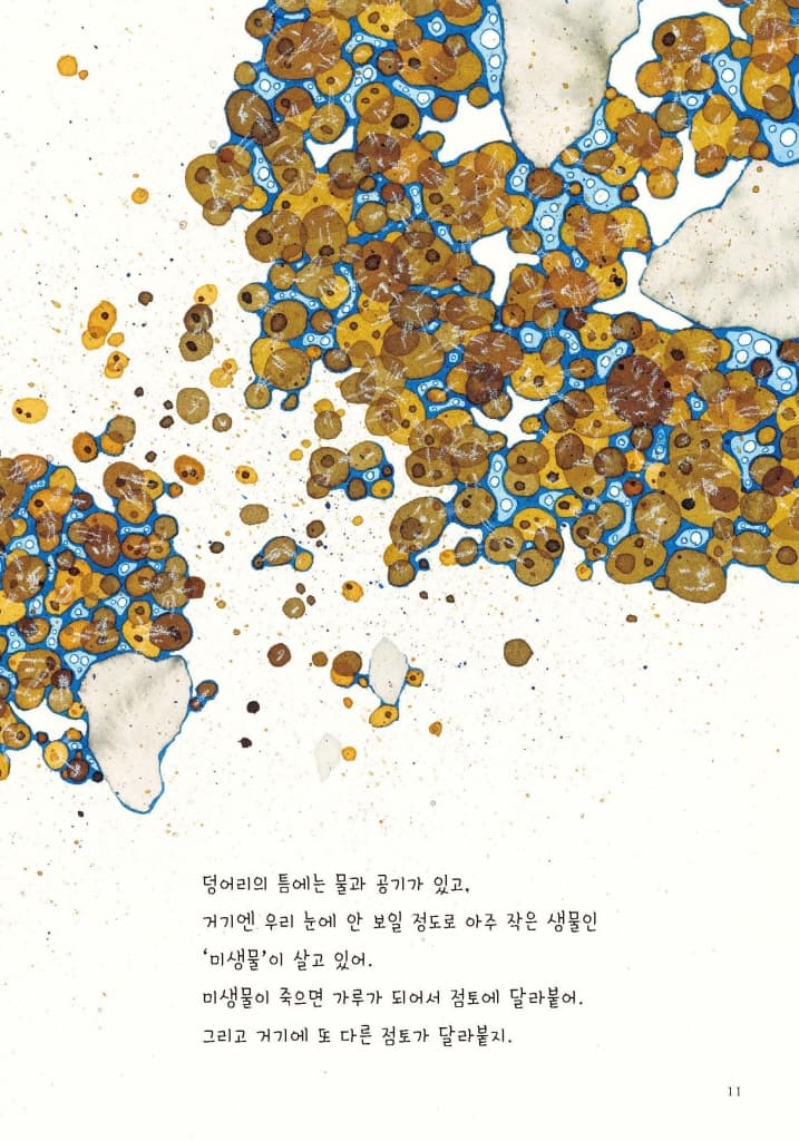지구가 낳은 흙 이야기