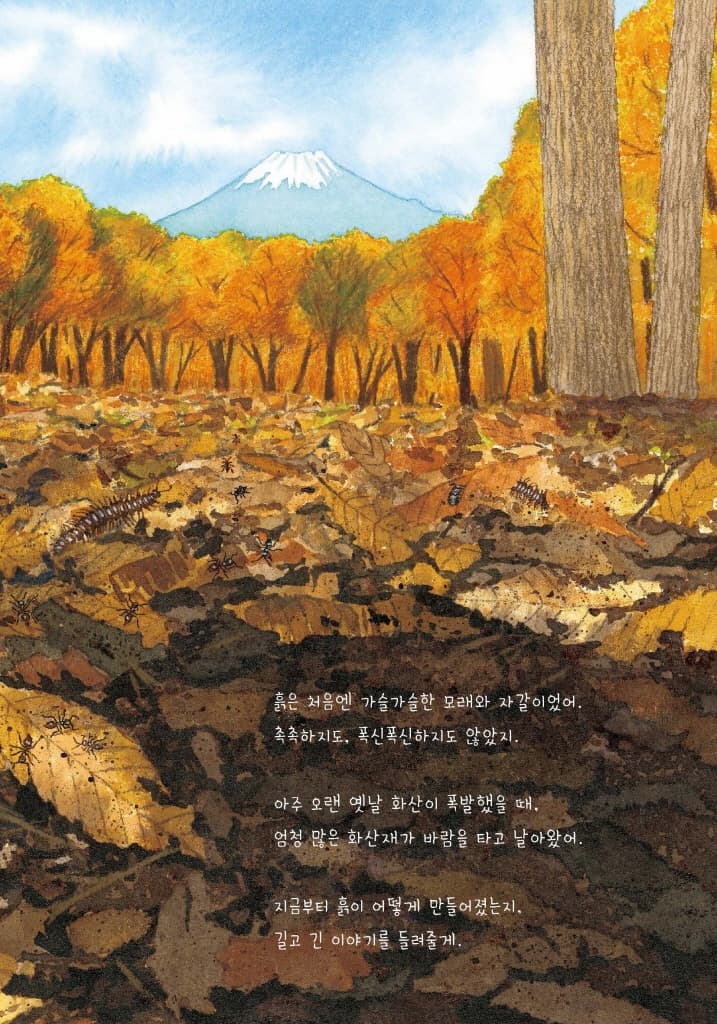 지구가 낳은 흙 이야기