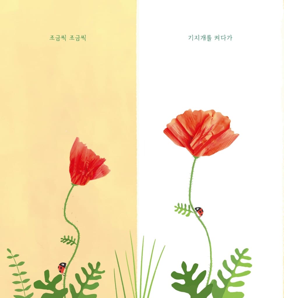 내가 꽃이 될 수 있었던 건