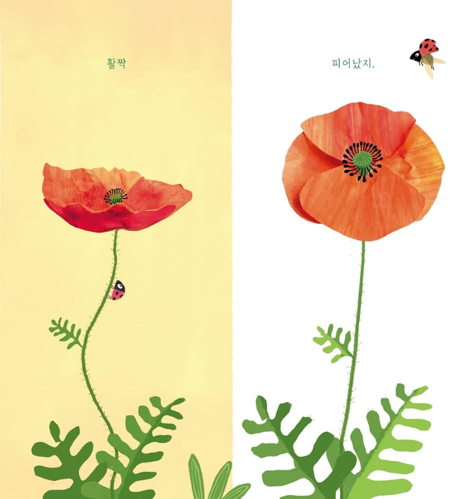 내가 꽃이 될 수 있었던 건