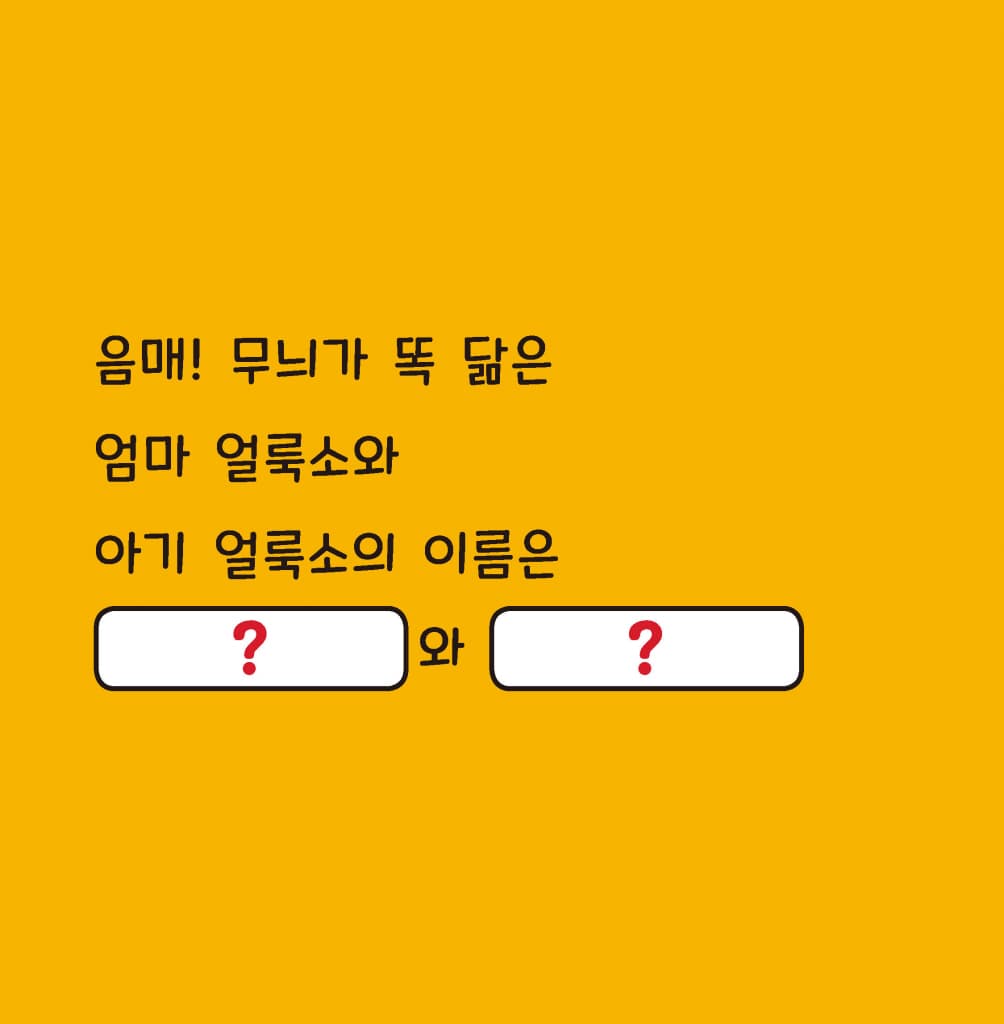 이름을 지어 줘!