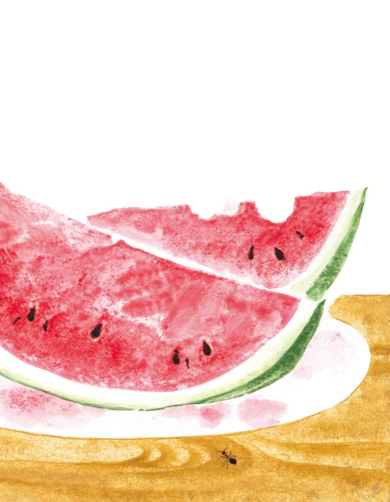 여름비