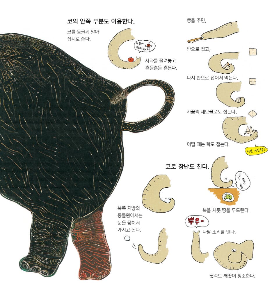 동물원 친구들은 어떻게 지낼까?
