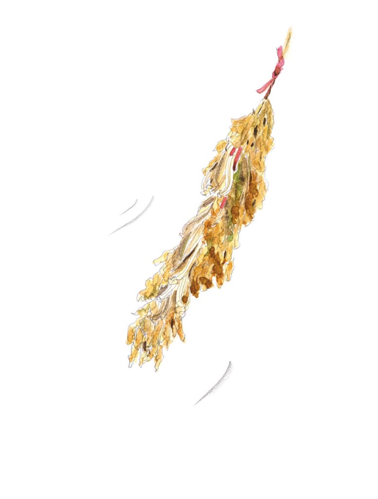 아그작아그작 쪽 쪽 쪽 츠빗 츠빗 츠빗