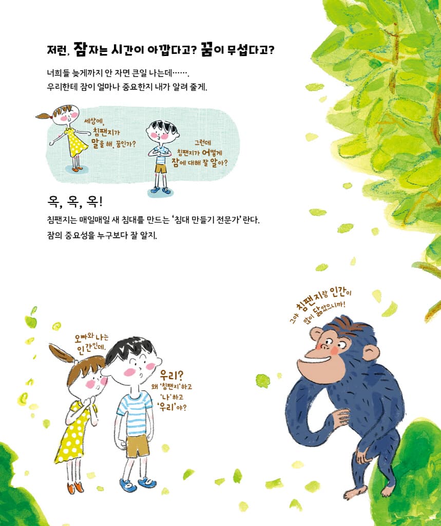 침팬지가 들려주는 잠과 꿈 이야기