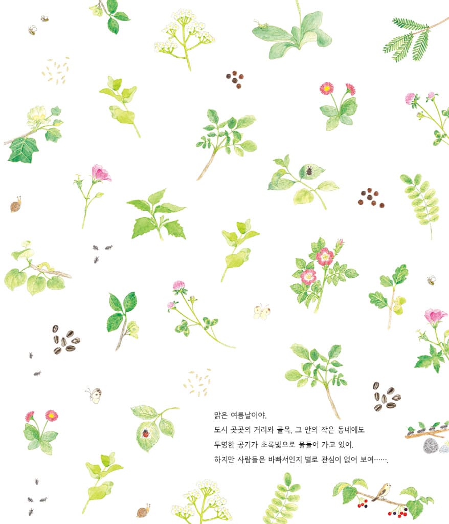 초록바람