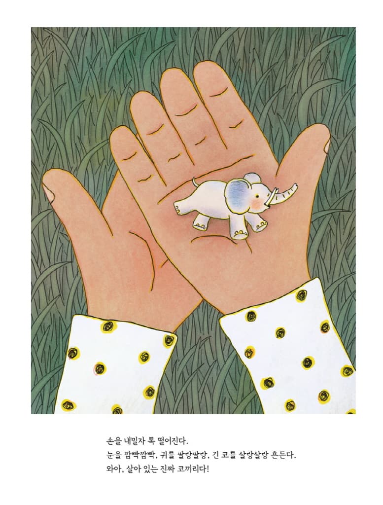 꽃에서 나온 코끼리