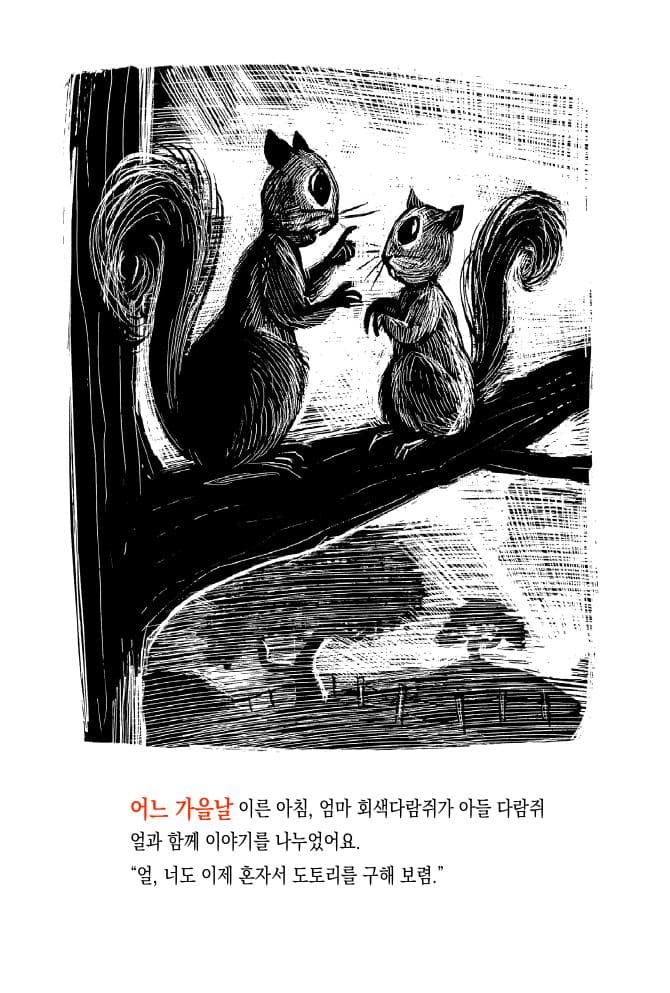 꼬마 다람쥐 얼