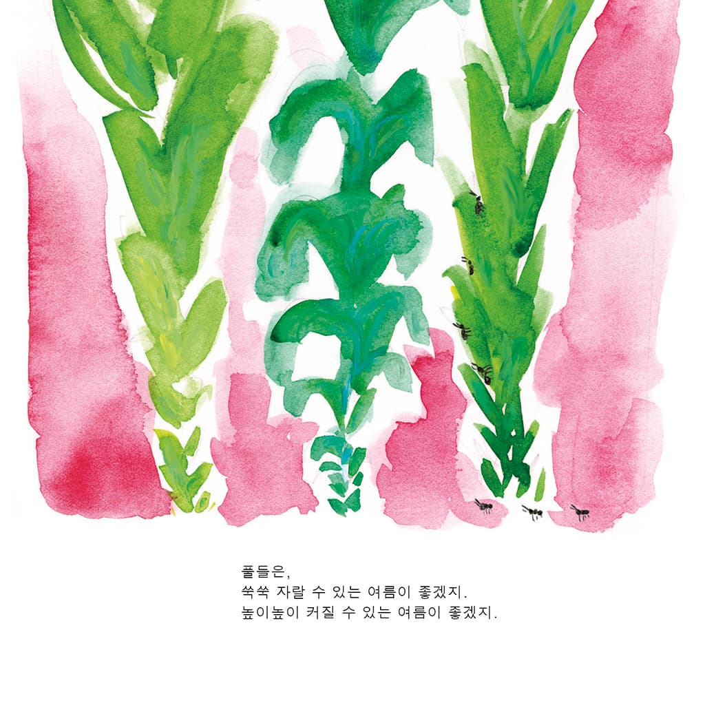 수수바의 여름 마당에서