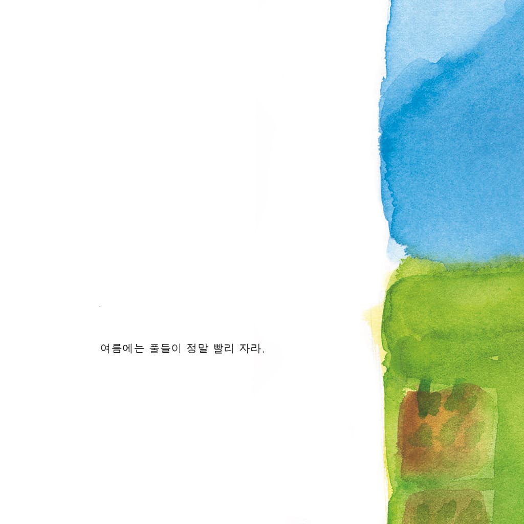 수수바의 여름 마당에서