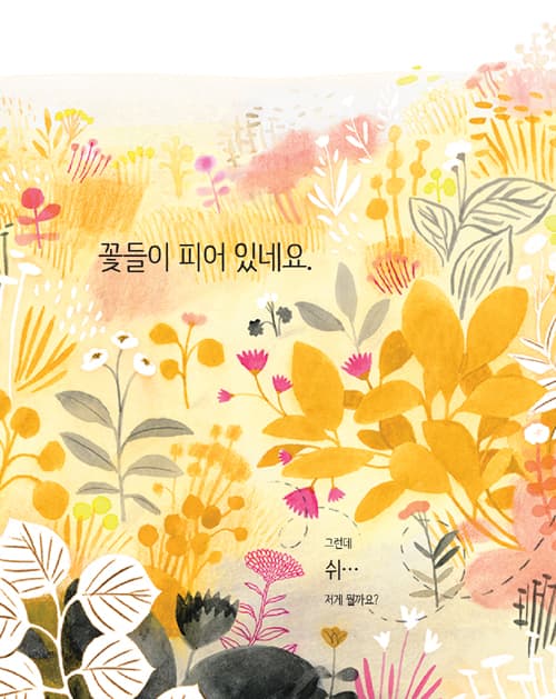 꿀벌의 노래