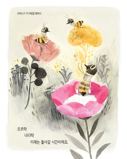 꿀벌의 노래