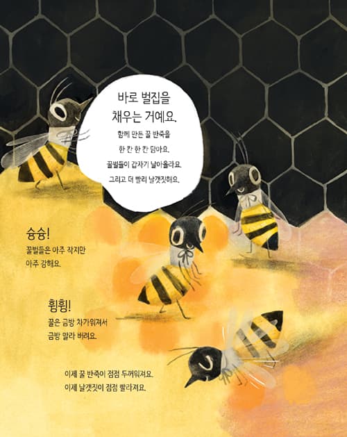 꿀벌의 노래