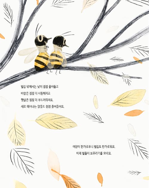 꿀벌의 노래