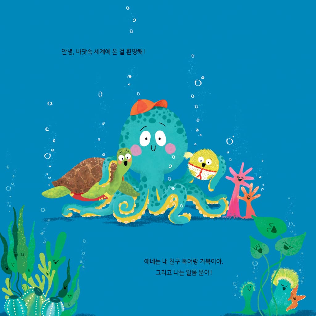 문어 팬티 2 - 사라진 해적 팬티