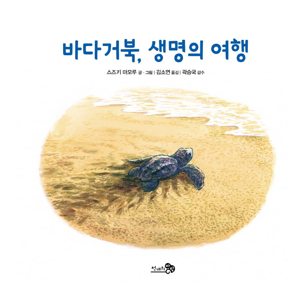 바다거북, 생명의 여행