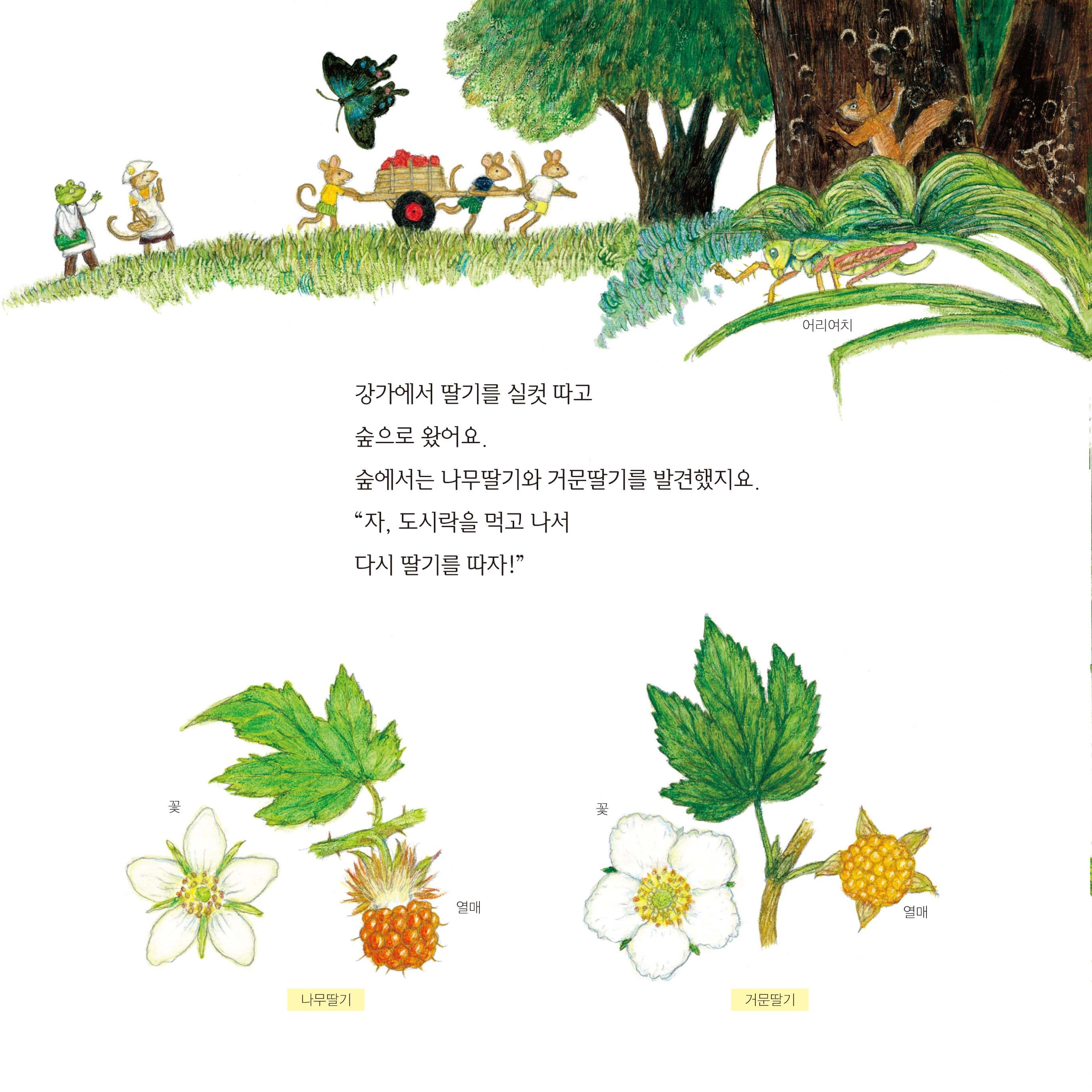 산으로 들로 맛있는 딸기 교실