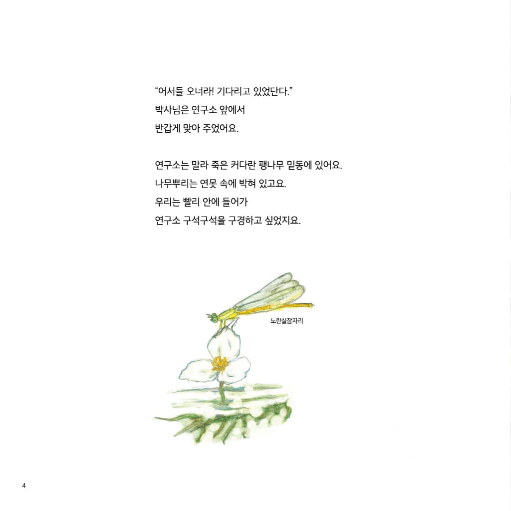 산으로 들로 한밤의 청개구리 음악회