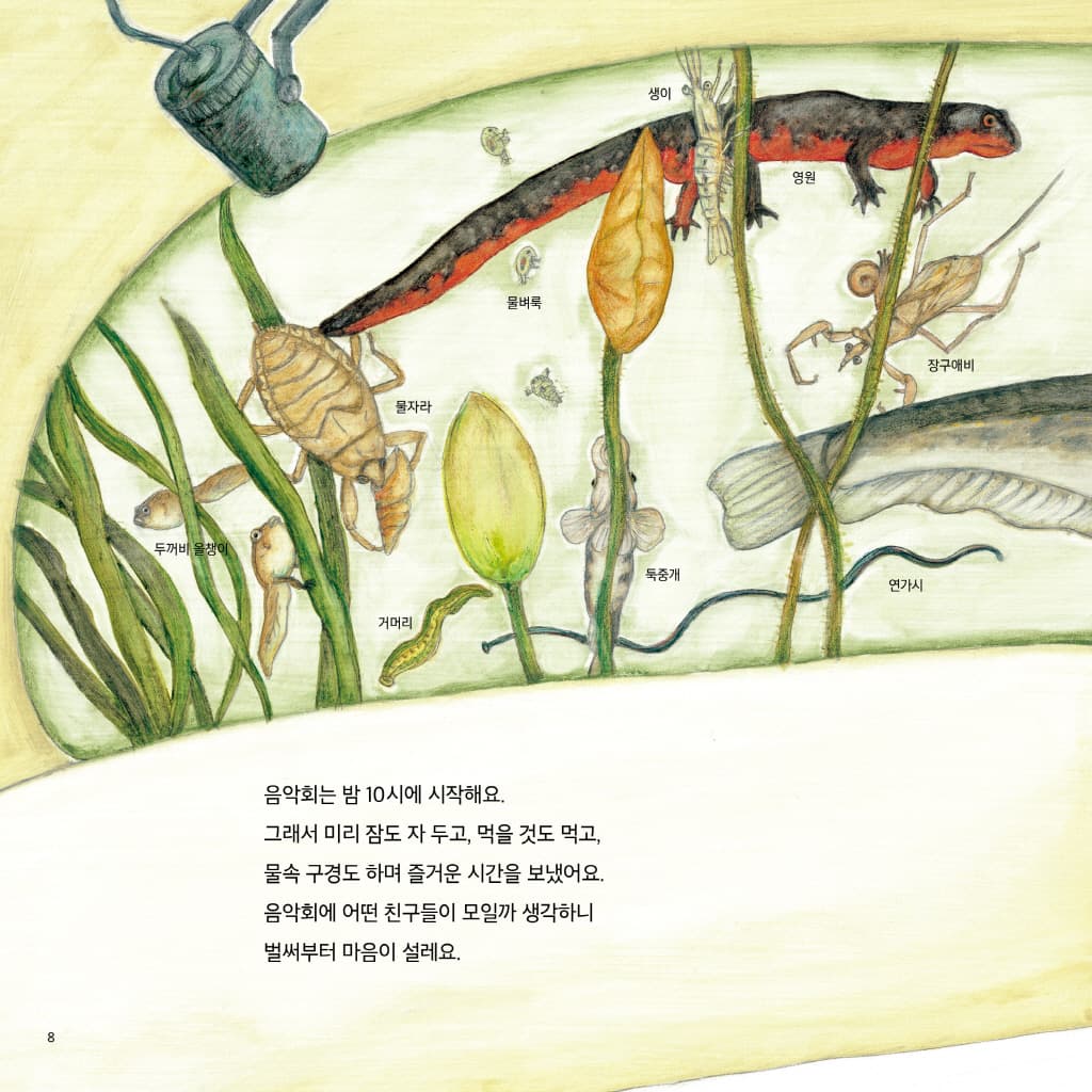 산으로 들로 한밤의 청개구리 음악회