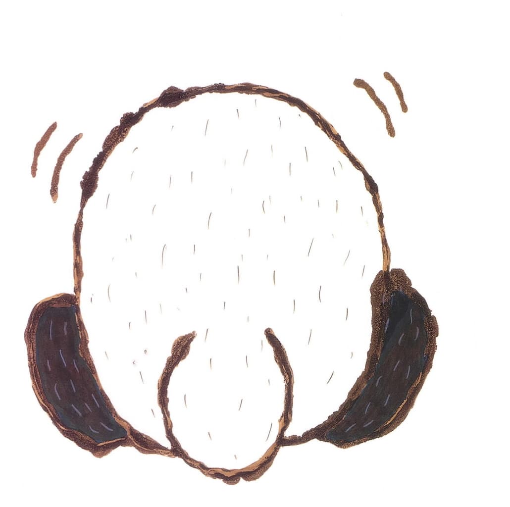 누구 엉덩이?