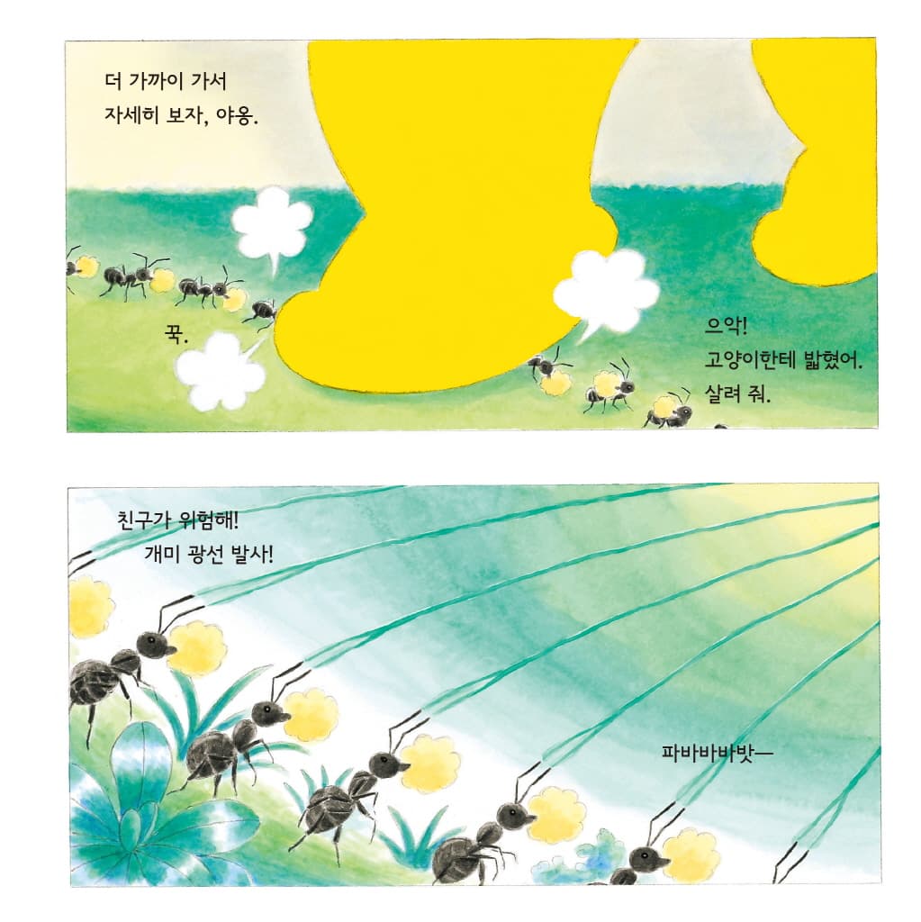 케이크가 커졌어요!