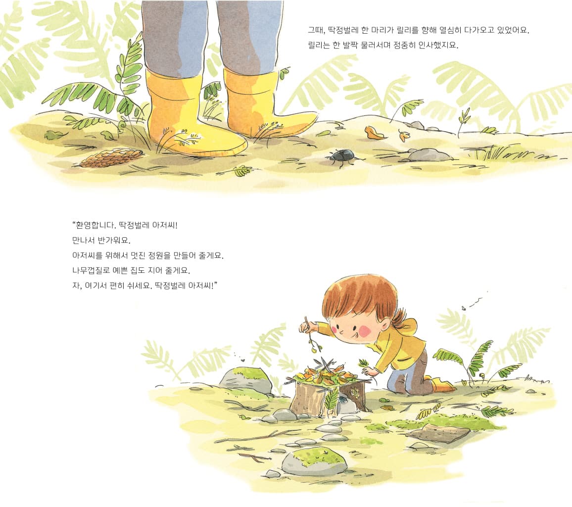 릴리와 숲의 비밀