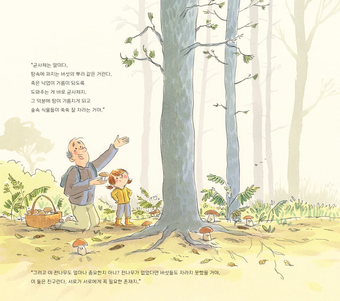 릴리와 숲의 비밀